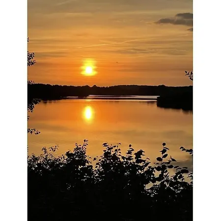 In With Swimming Pool *